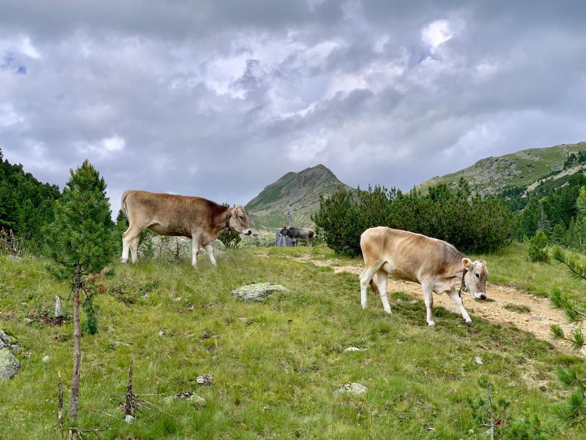 Hanile * Sarentino